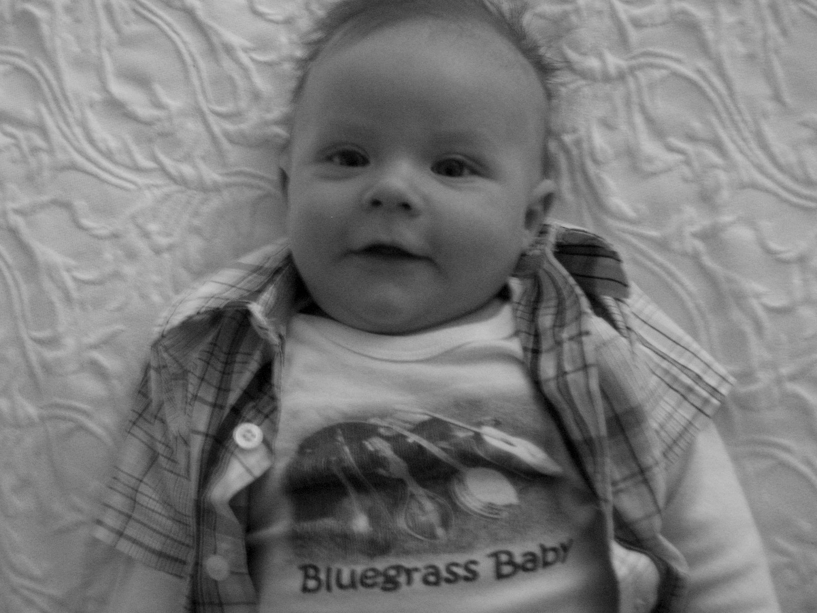 [November+1-+2008+010.jpg]