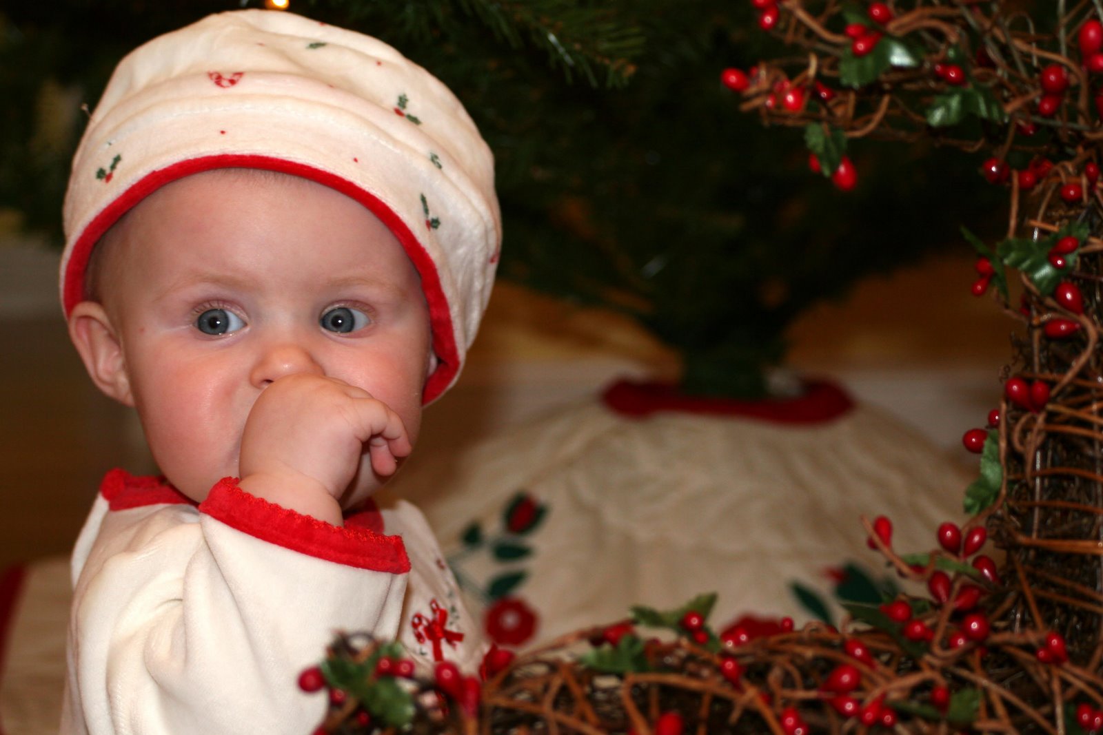 [IMG_0559_edited-1.jpg]