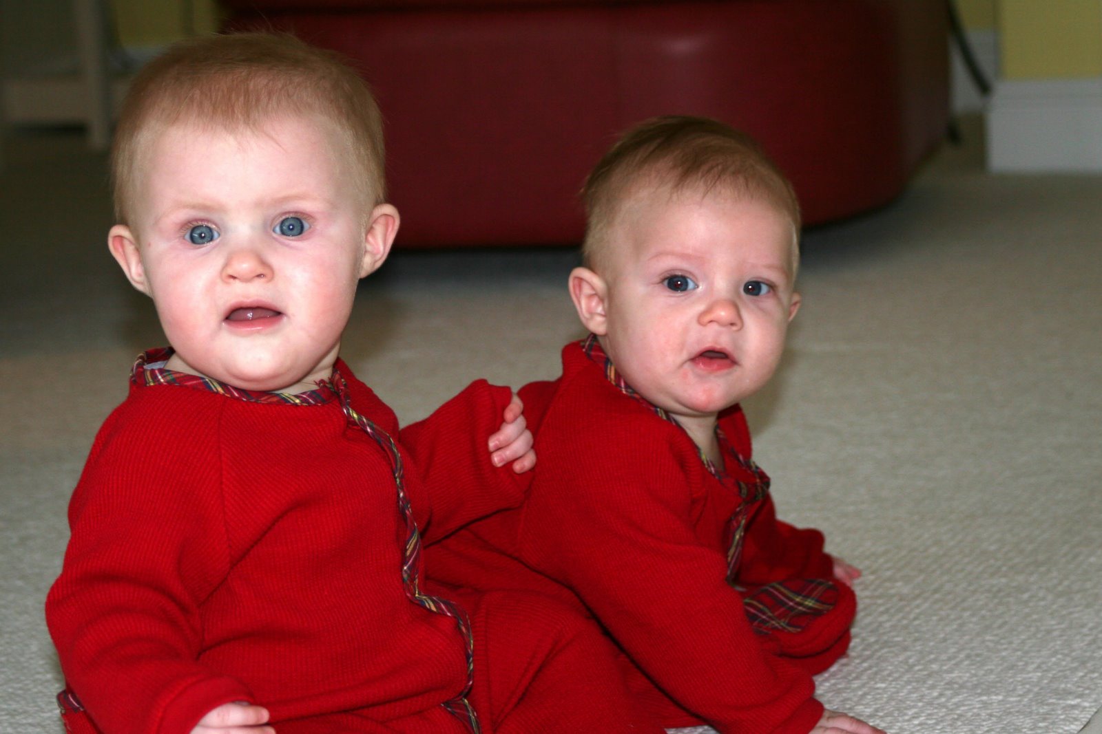 [IMG_0648_edited-1.jpg]