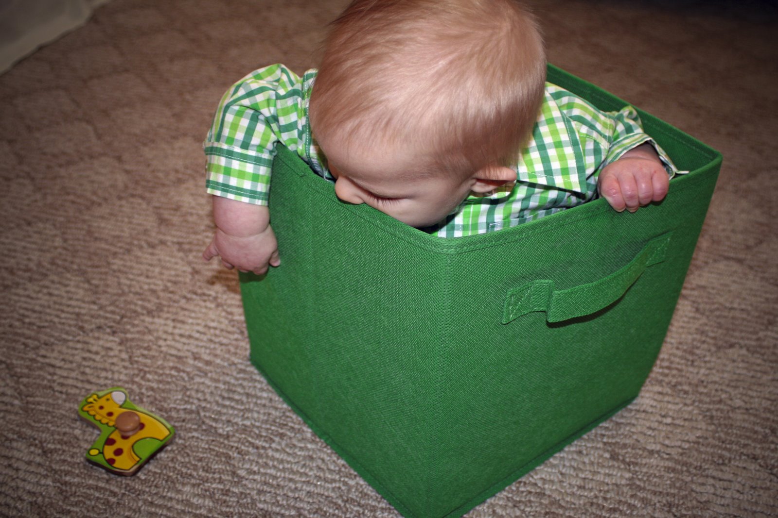 [IMG_2034_edited-1.jpg]