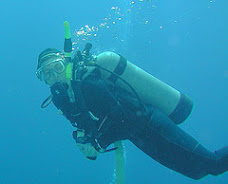 Diving at Saba
