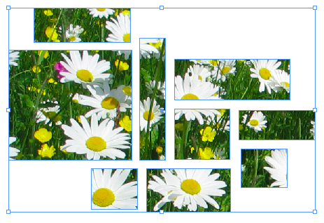 [Picture+3.png]