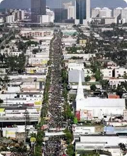 [calle_ocho.0.0.0x0.263x323.jpg]