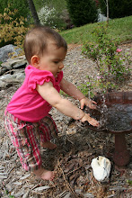 She loved playing in the bird bath
