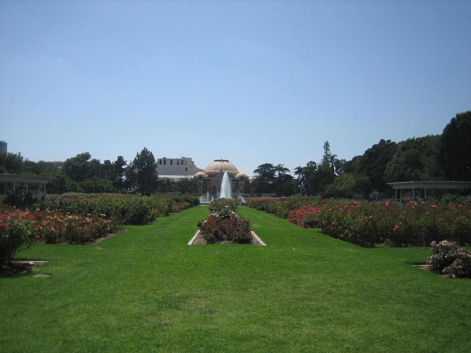 L.A. Places Exposition Park Rose Garden