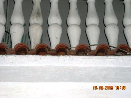 [condomínio+de+andorinhas.jpg]