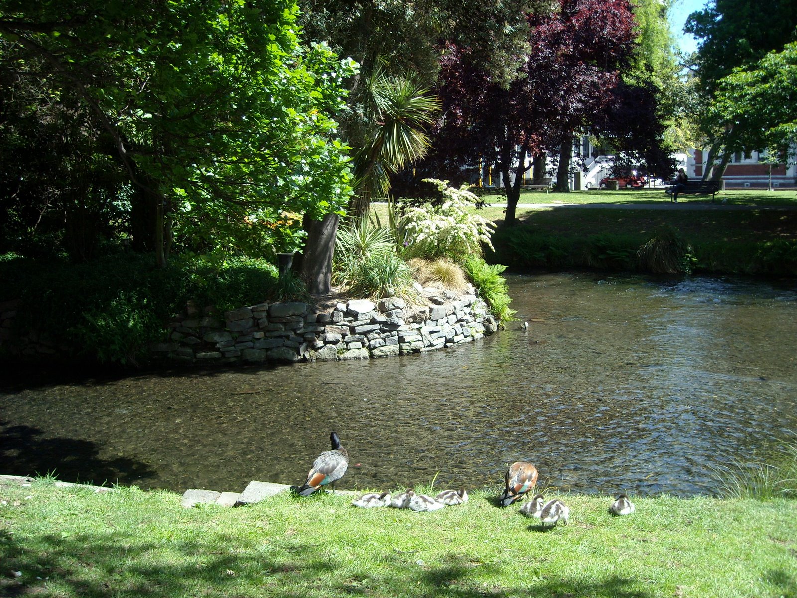 [DSCN0867.JPG]