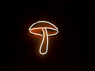 Neon Shroom