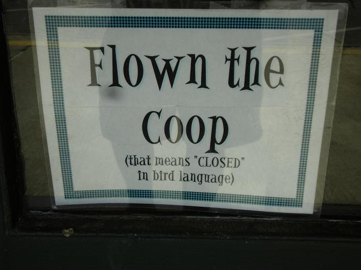 Terrell Daily Photo Flown the coop