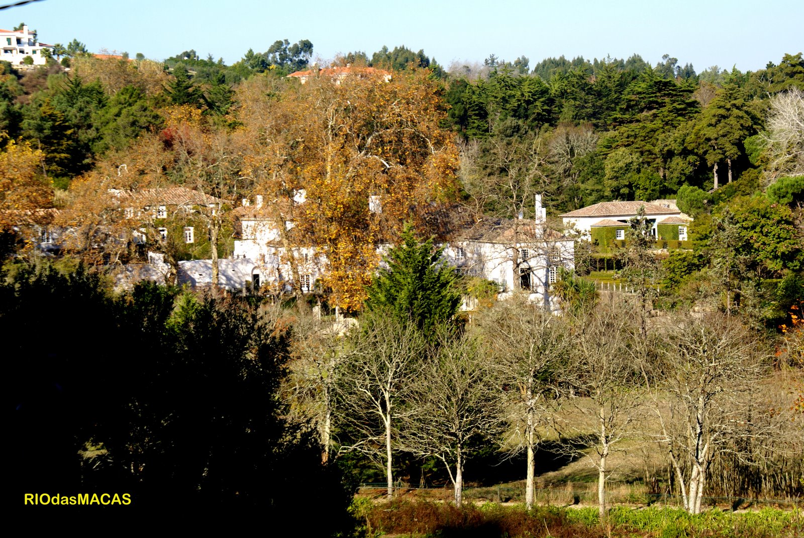 [quintavinagrepanorama.jpg]