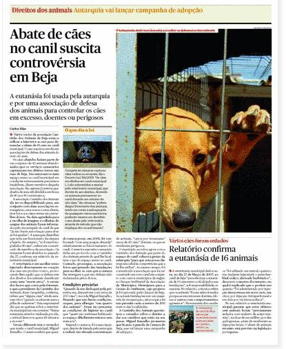 [caespublicofinal2.jpg]
