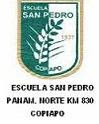 Insignia