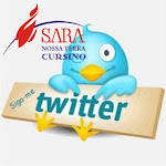 Você que gosta do Twiter