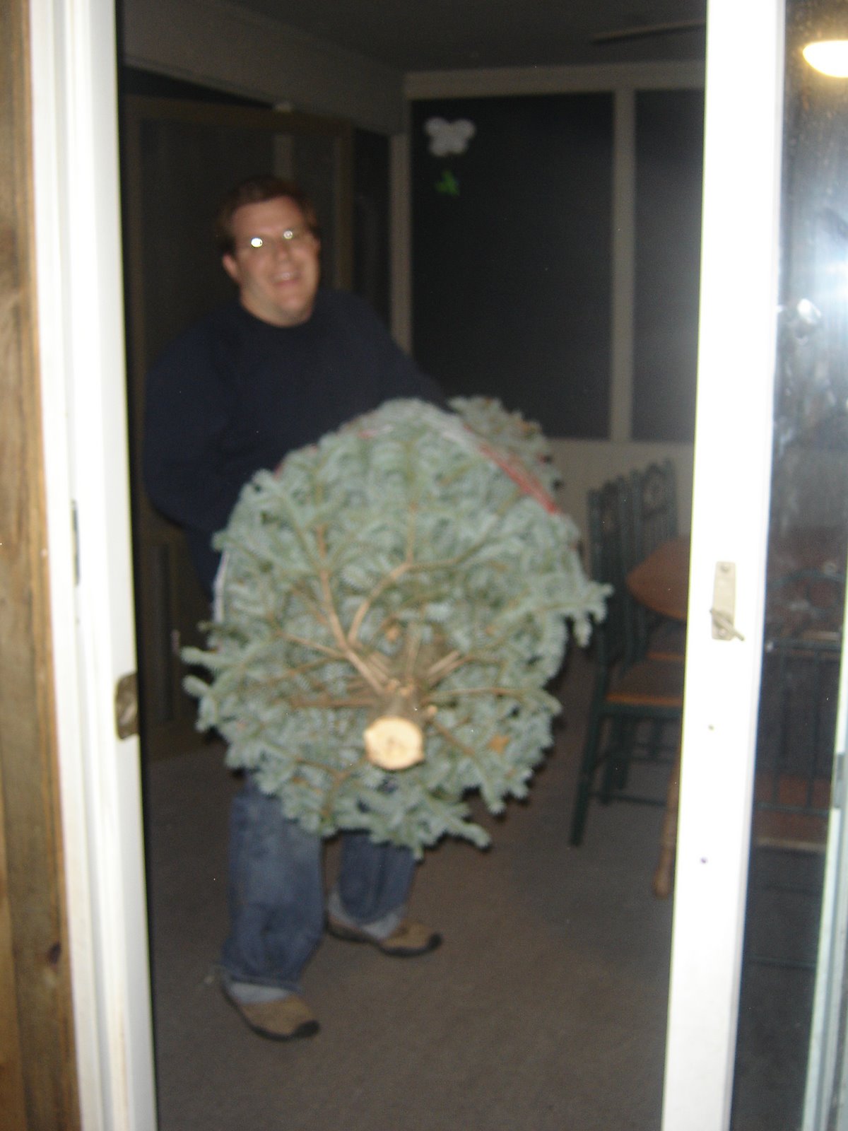 [Christmas+tree+2007,+black+friday+039.JPG]