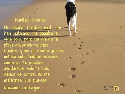 huellas caninas