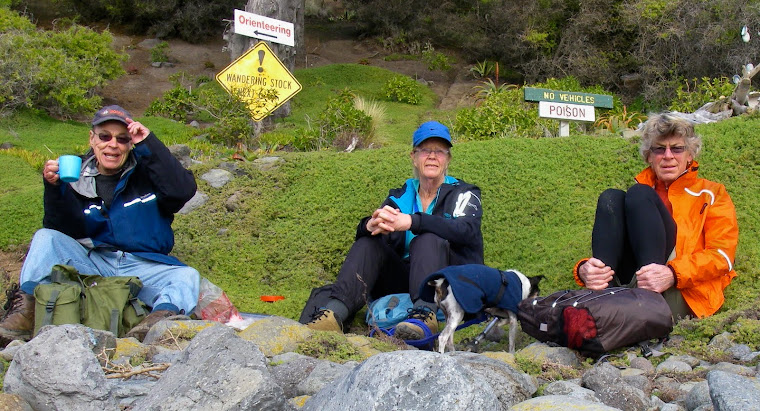 Darcy Mawson, Jillian Wilson & Marie Cooke