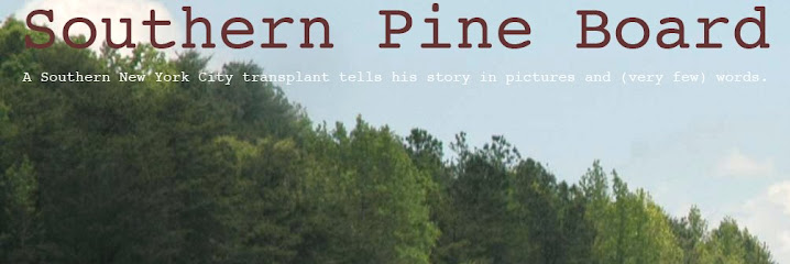 Southern Pine Board