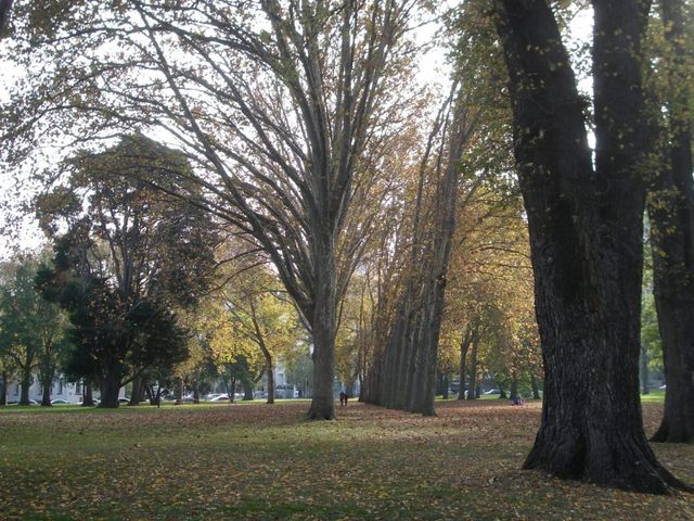 Treasury Park in Melbourne