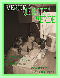 ALERTA VERDE 2010