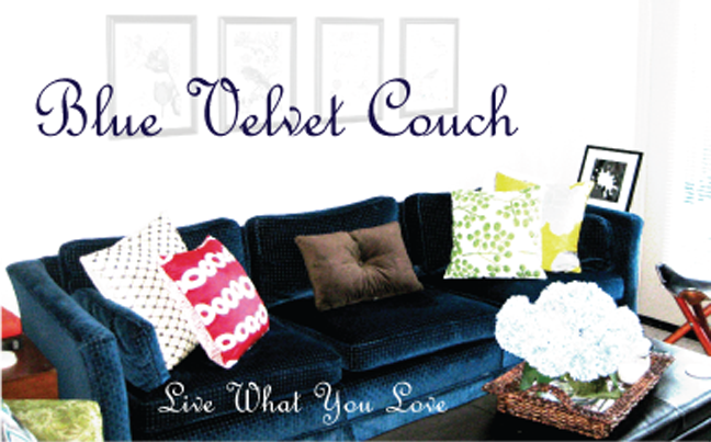 The Blue Velvet Couch