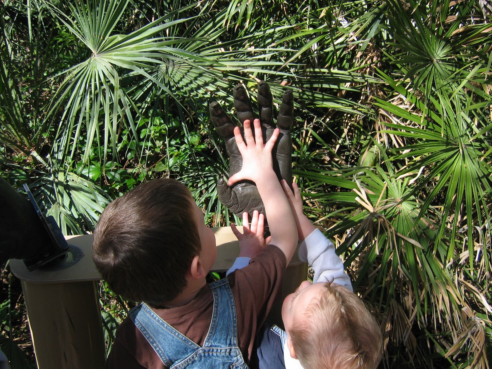 [December+24+download+of+pictures+082.jpg]