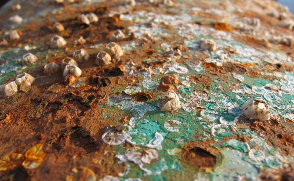 Fluid Corrosion General