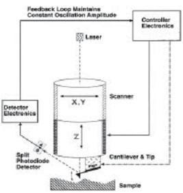 Atomic Force Microscopy