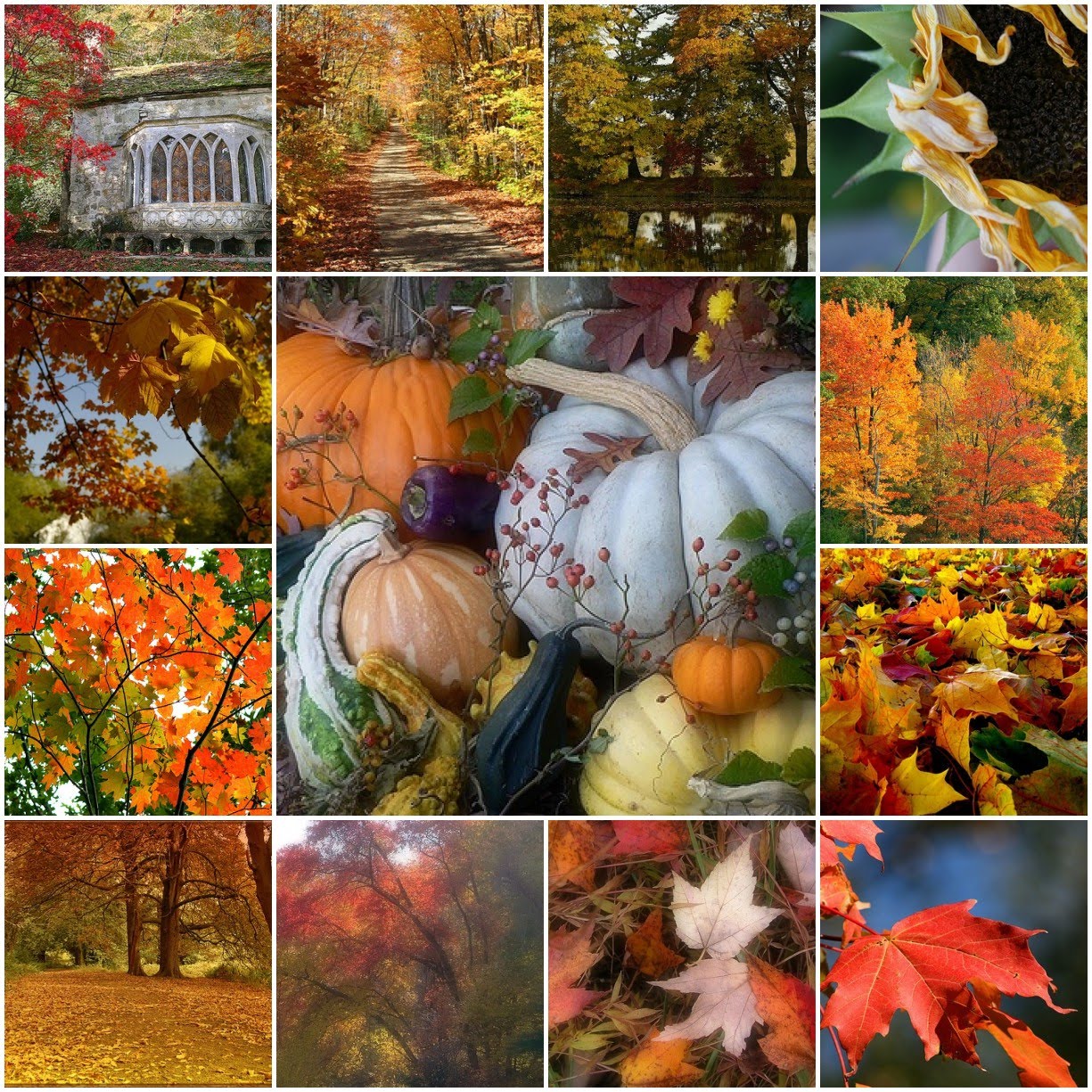 http://4.bp.blogspot.com/_C_qpXWOS_8E/SwqYyKDT0II/AAAAAAAAK_4/lZEEmtpQPAA/s1600/1447881243_2049607c87_o.jpg