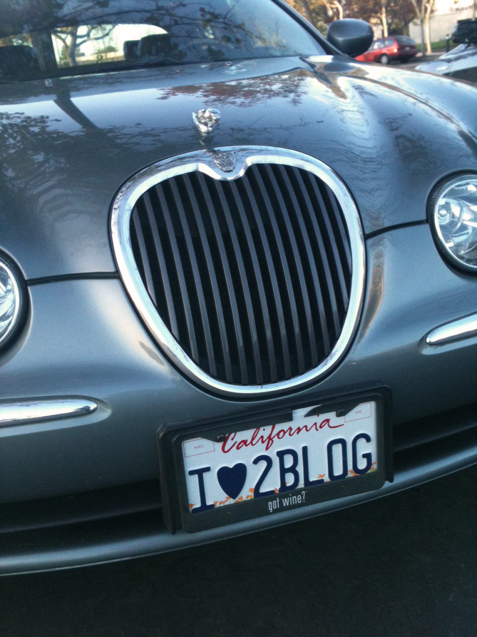 California license plate heart symbol lasopatechno