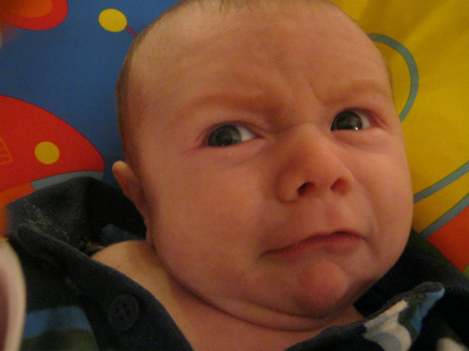 Human Baby™ Manual for New Dads | jessclark.tv