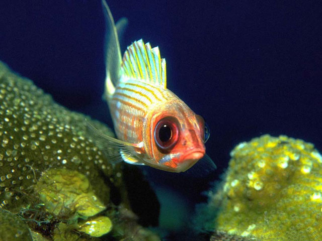 fish september 2010