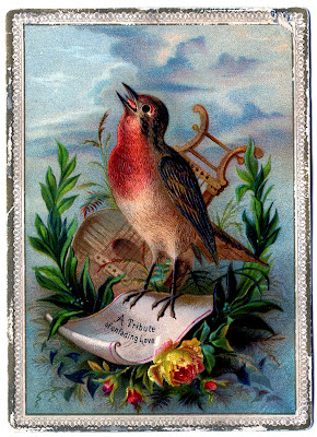 free Vintage bird clip art Robin