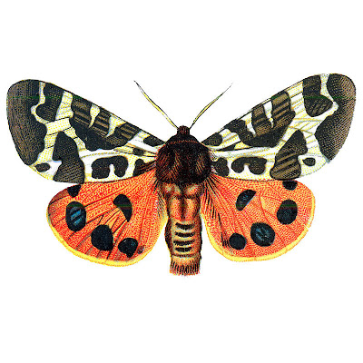 free thank you clip art images free thank you clip art images. free thank you clip art images