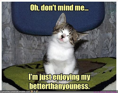 funny-pictures-cat-thinks-he-is-better-than-you.jpg