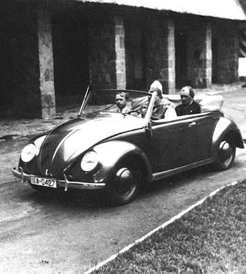 beetle beetle