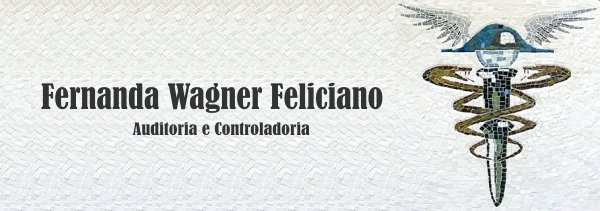 Fernanda Wagner Feliciano Contadora