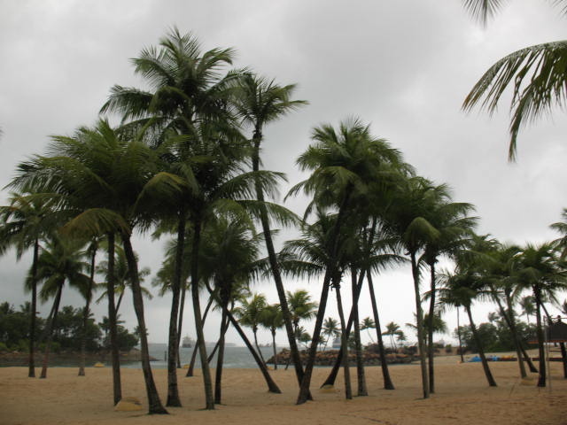 [IMG_0307.JPG]