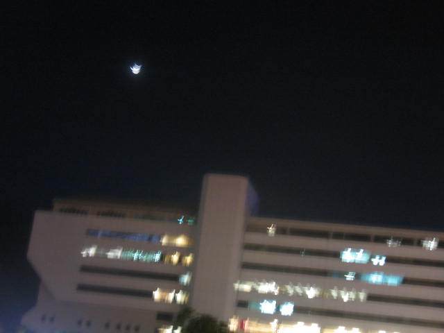 [IMG_0849.JPG]