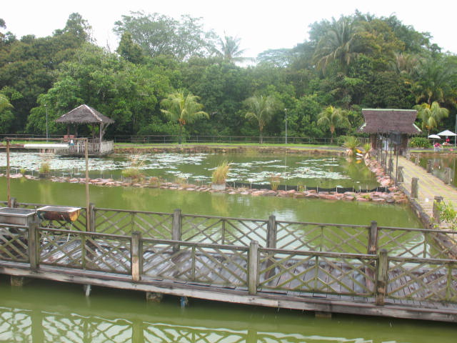 [IMG_0620.JPG]