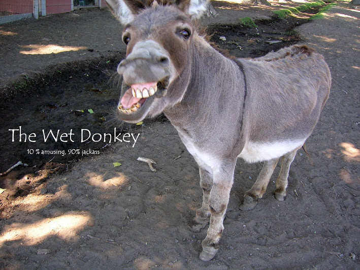 donkey+oatie+image.jpg