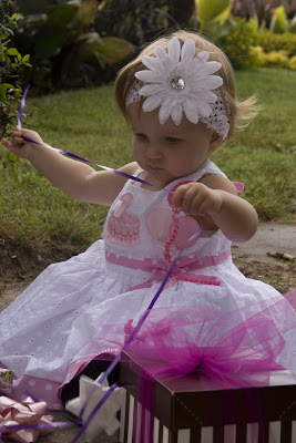 Birthday Dresses • Baby's First 1st Birthday Dress • Toddler