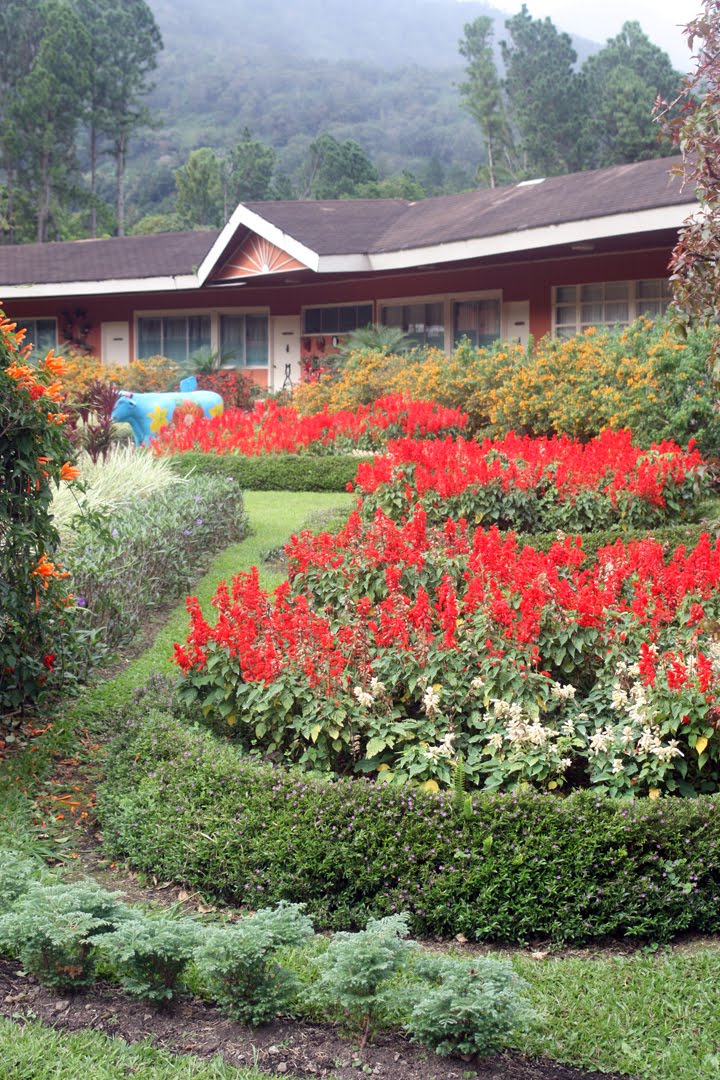 Sendas Panamá: Boquete (Chiriquí)