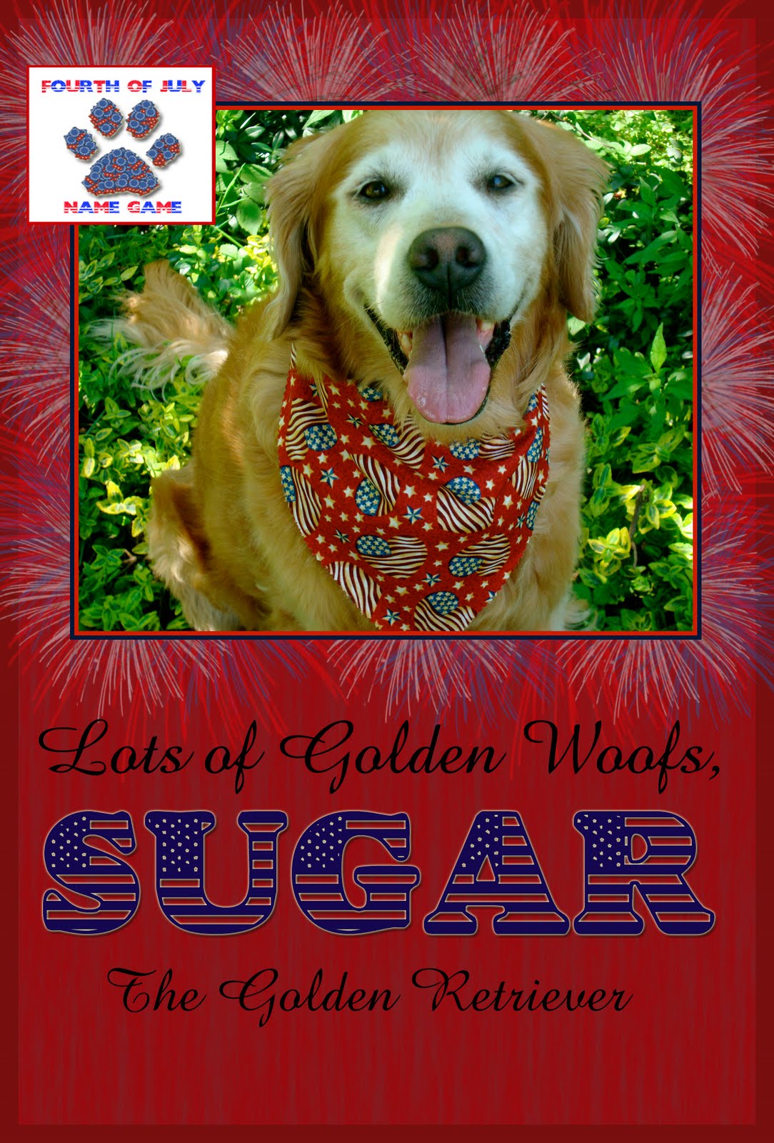 topbrass golden retrievers reviews 4th of july name golden woofs topbrass golden retrievers reviews 4th of july name golden woofs