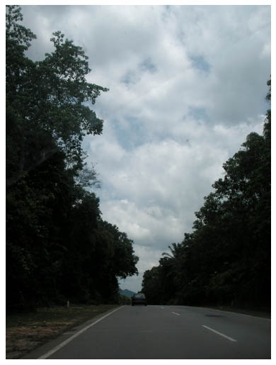 [PICT0017.JPG]