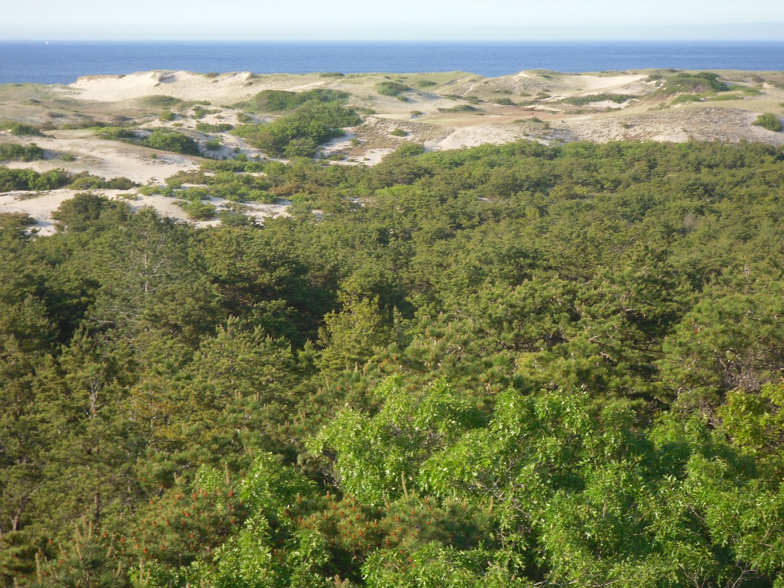 [SDC10083.JPG]