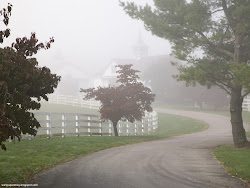 Manchester Horse Farm on a Foggy Morning, Lexington, Kentucky Images, Picture, Photos, Wallpapers