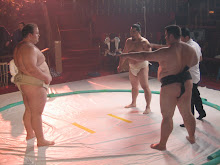 Dan Coreographs Sumo Fight