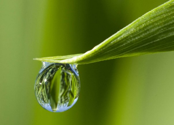 [8525_100882163265733_100000318504710_20939_2823884_n.jpg]