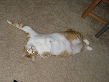 Nubbin Does Yoga