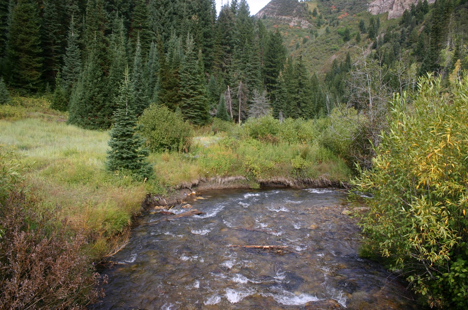 Local Outdoor Adventures